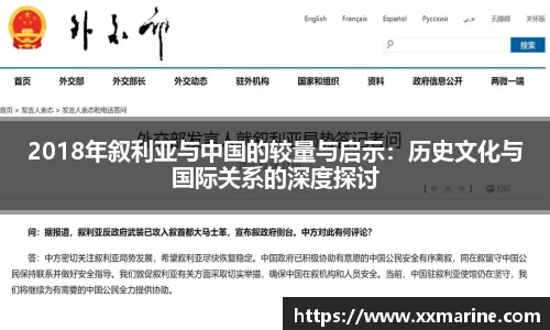 2018年叙利亚与中国的较量与启示：历史文化与国际关系的深度探讨